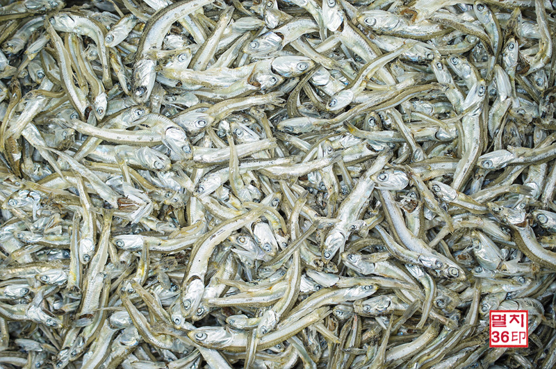 고추장,술안주,소멸치,찍어먹는,멸치,고바,1.5Kg 상자